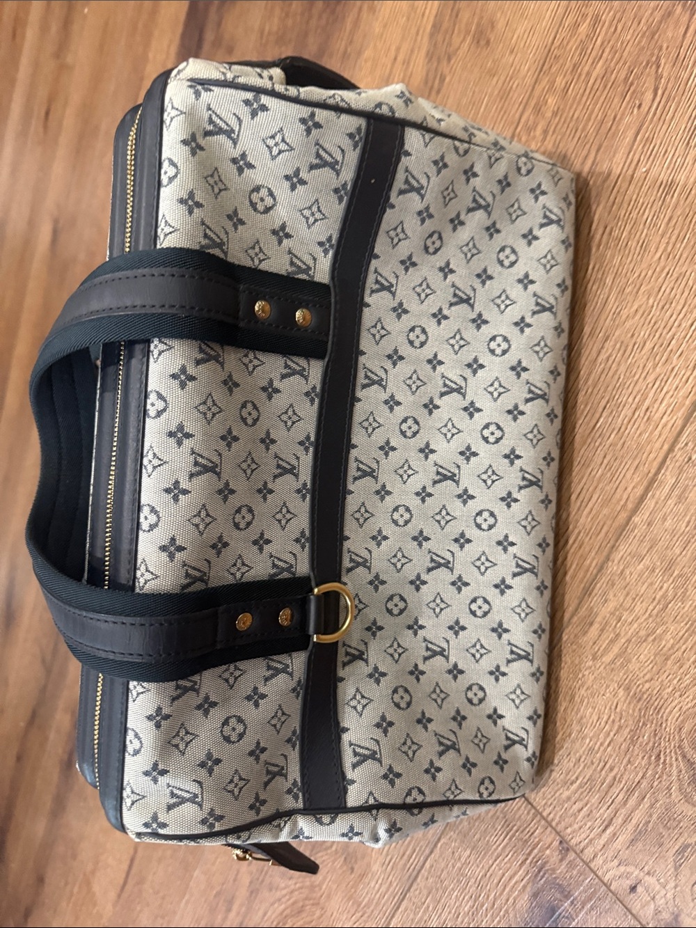 Louis Vuitton Monogram Mini Lin Josephine GM - Picture 5 of 6